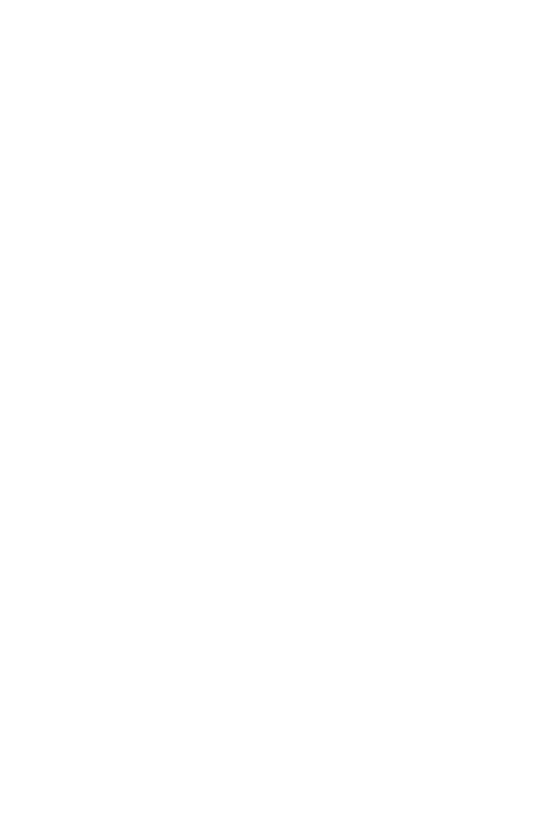 YoungAscend